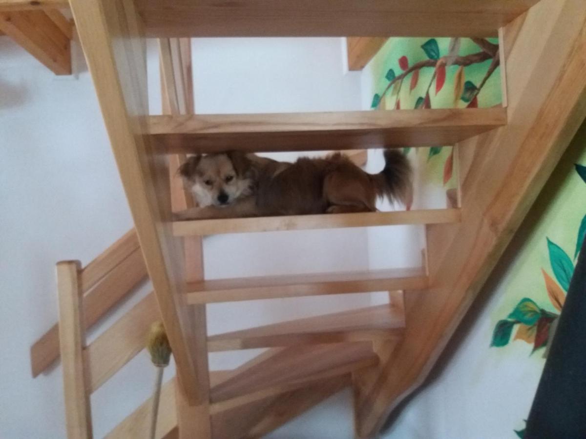 Domek Jaska Baligrod Ngoại thất bức ảnh